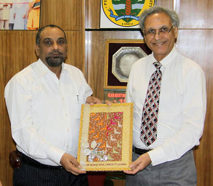 brain-storming-pau_0