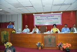 brainstroming-01-2082019