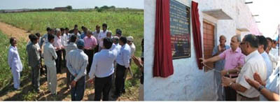 cazri-field-day-10-10-2012