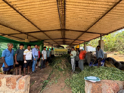 ICAR-CCARI & KVK North Goa Organises Method Demonstration on Scientific Fodder Conservation through Silage Preparation
