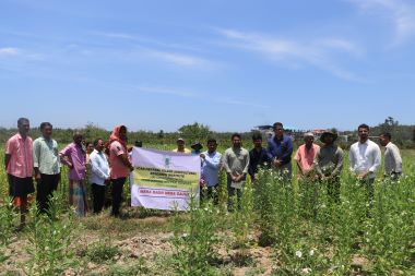 ICAR-CIARI, Sri Vijaya Puram Organizes Field Day on Paddy Fallow Sesame Cultivation to Promote Summer Crop Diversification in South Andaman
