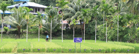 Kharif 2026 Field Day Organized at Bloomsdale Research Farm, Chouldari