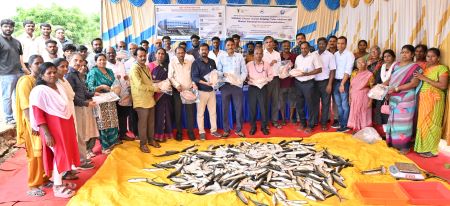 ICAR-CIBA, Chennai Unveils Deboning Technology to Popularize Milkfish