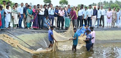 ICAR-CIBA, Chennai Unveils Deboning Technology to Popularize Milkfish
