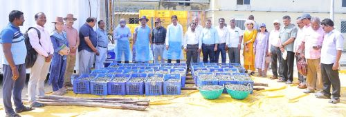 ICAR-CIBA’s SIPNSF Technology Recognised as a Pathway to Viksit Bharat’s Shrimp Production Goal