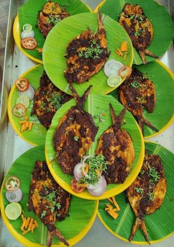 ICAR-CIBA, Chennai Unveils Deboning Technology to Popularize Milkfish