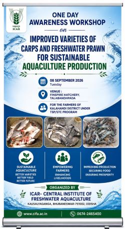 Empowering Kalahandi’s tribal farmers with improved fish and prawn farming technologies at ICAR-CIFA, Bhubaneswar