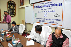 cifanews-1-29-11-2012