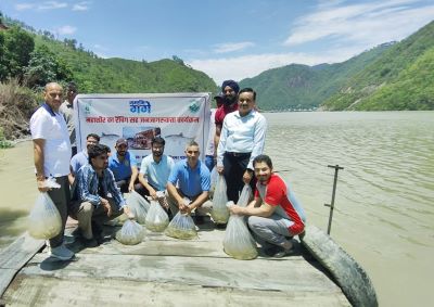 ICAR-CIFRI, Barrackpore Strengthens Riverine Biodiversity under Namami Gange with Release of 7,000 Golden Mahseer Fingerlings in the Alaknanda River
