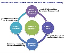 cmfriisro-02-11042019
