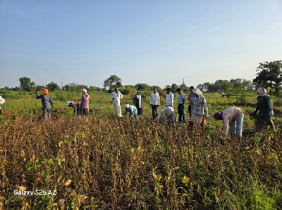 ICAR-CRIDA, Hyderabad Organized Farmer-Scientist Interface Meeting and Focused Group Discussion (FGD) under Tribal Sub-Plan (TSP)