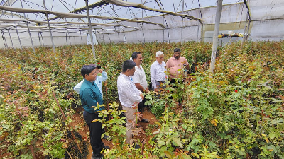 ICAR-DFR, Pune Organizes Sarpanch Sammelan-cum-Farmers' Training under ‘Khet Bachao Abhiyan’