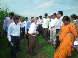 dg-visit-iisr-luknow-14-08-2012-1