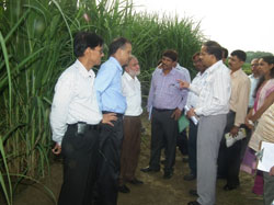 dg-visit-iisr-luknow-14-08-2012-2