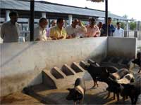 dg-visit-nrc-pig-28-03-2011-2