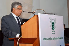 dirconf-04-19-03-2013