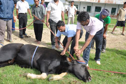 field-programme-mithun-03-07-2012-2