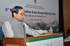 grainstorge-02-22052018