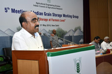 grainstorge-03-22052018