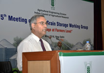 grainstorge-04-22052018