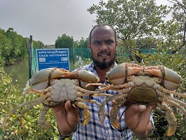 handing-over-watercrab-03_1.jpg 