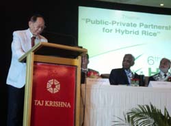 hybrid-rice-03-10-09-2012