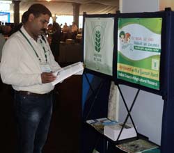 hybrid-rice-08-10-09-2012