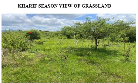 ICAR–IGFRI Conducts Stakeholder Consultations on Sustainable Management of Amrit Mahal Grasslands in Karnataka