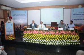 iimrfoundation-0116112015.jpg
