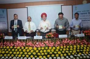 iimrfoundation-0216112015.jpg