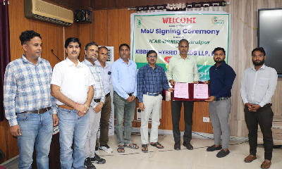 ICAR-IIRMR, Bharatpur Signs MoA with M/s KIBBUTZ HYBRID SEEDS LLP, KOTA for Non-Exclusive Licensing of Indian mustard Variety BPM-1825