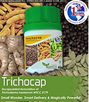 iisrkozikoad2019-07-09-02