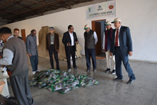 iivr-02-25012018.jpg
