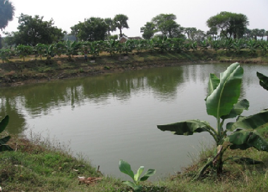 Water resources development for livelihood improvement of smallholder farmers