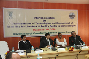 interfacemeeting-01-20122016.jpg