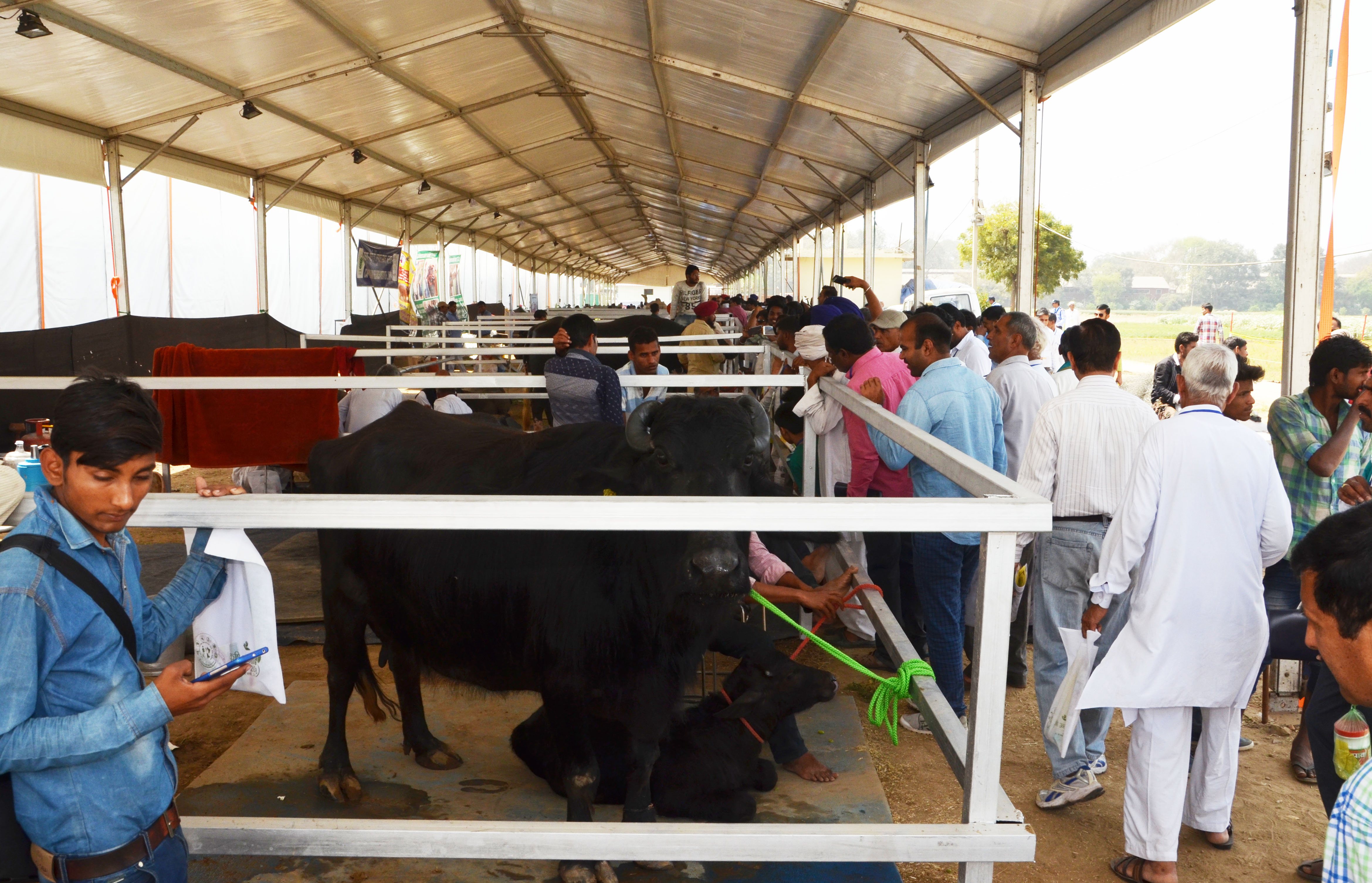 krishiunniti-05-2018