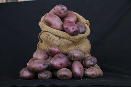 kufrinelkanth-01-2019