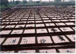 kvk-baramati-22-04-2013-2