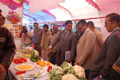 kvk-bhuj-23-01-2013-3