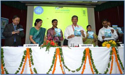 kvk-interface-dcfr-06-06-2011-3