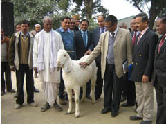 kvk-jaupur-08-01-2013-2