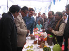 kvk-jaupur-08-01-2013-3