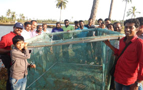 kvkcmfri-01-22032017