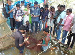 kvkcmfri-02-22032017