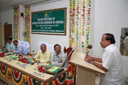 kvkodisa-01-07-08-2013