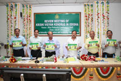 kvkodisa-02-07-08-2013