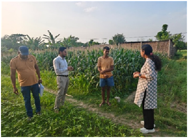 Green manuring and balanced fertilization gain momentum under Khet Bachao Abhiyan in Bihar at ICAR-MGIFRI, Motihari
