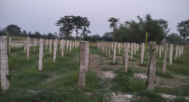ICAR-MGIFRI, Motihari promotes balanced fertilizer use and climate-resilient farming under Khet Bachao Abhiyan in Bihar
