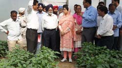 minister-bhatinda-01-04-2015-3.jpg