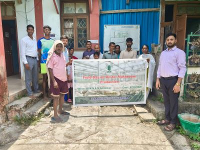 ICAR–KVK, North & Middle Andaman Conducts Field Day on Oyster Mushroom Cultivation